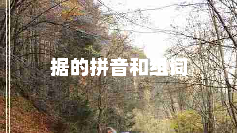 據(jù)的拼音和組詞