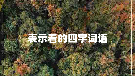 表示看的四字詞語