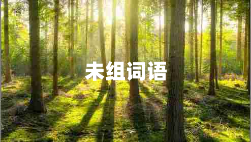未組詞語(yǔ)