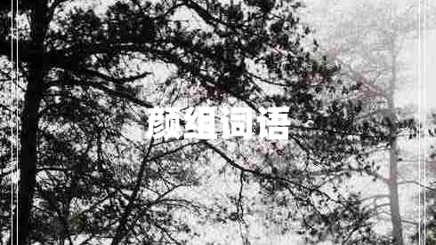 顏組詞語 顏組詞語