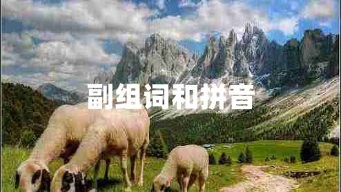 副組詞和拼音 副組詞和拼音
