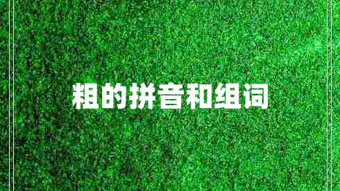 粗的拼音和組詞