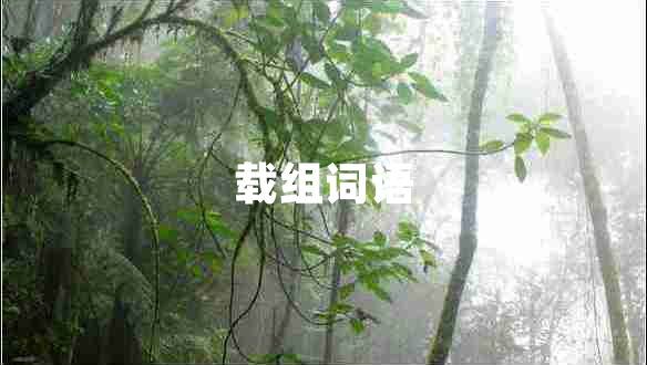 載組詞語(yǔ) 載組詞語(yǔ)