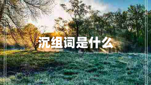 沉組詞是什么