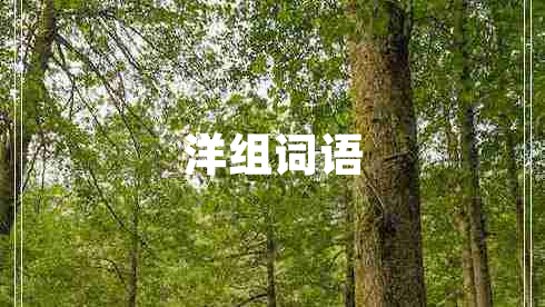 洋組詞語 洋組詞語