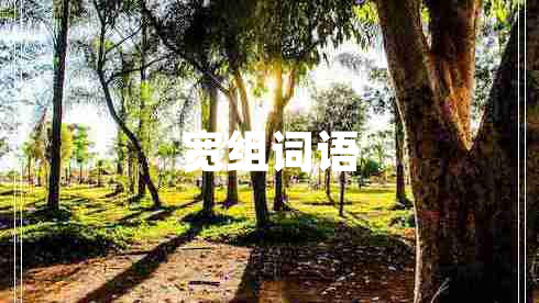 寬組詞語 寬組詞語