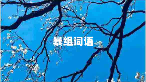 暴組詞語(yǔ)