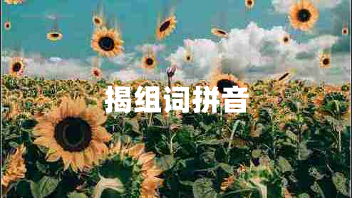 揭組詞拼音 揭組詞拼音