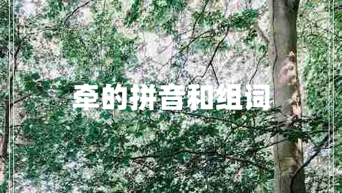 牽的拼音和組詞