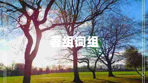 著組詞組 著組詞組