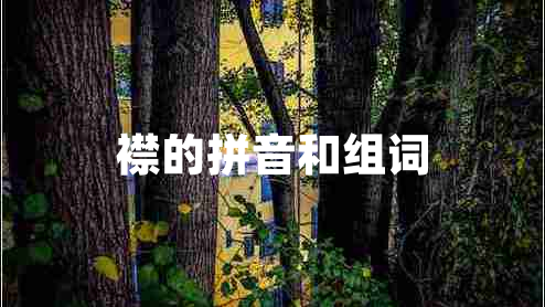 襟的拼音和組詞