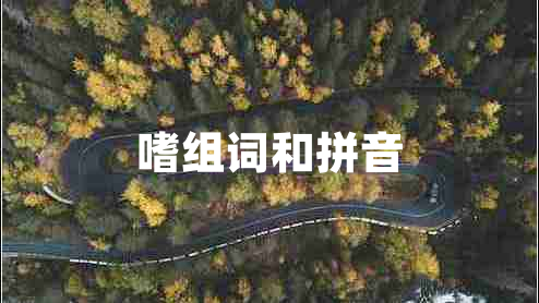 嗜組詞和拼音