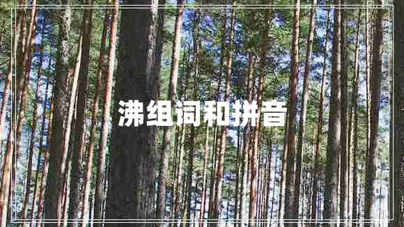沸組詞和拼音