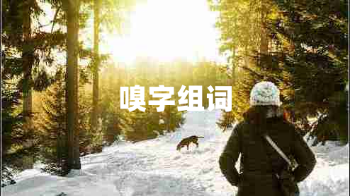 嗅字組詞 嗅字組詞