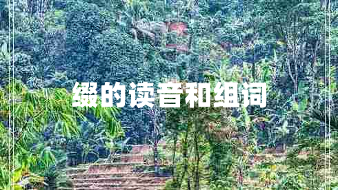 綴的讀音和組詞