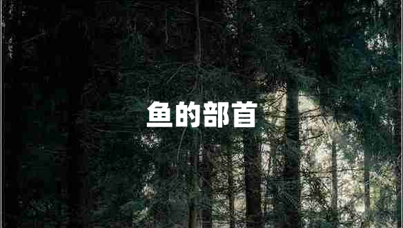 魚的部首