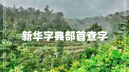 新華字典部首查字