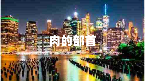 肉的部首