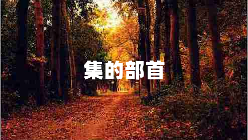 集的部首 集的部首