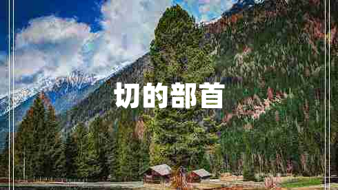 切的部首 切的部首