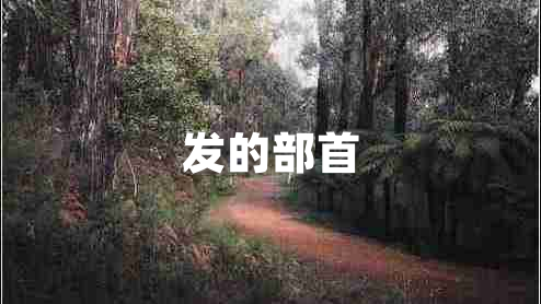 發(fā)的部首
