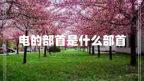 電的部首是什么部首 電的部首是什么部首
