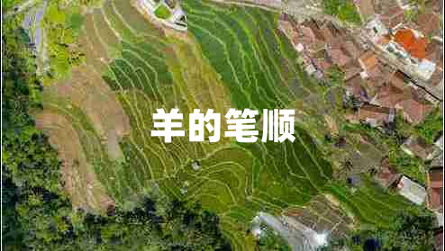 羊的筆順 羊的筆順