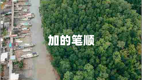 加的筆順