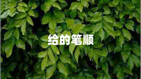 給的筆順 給的筆順