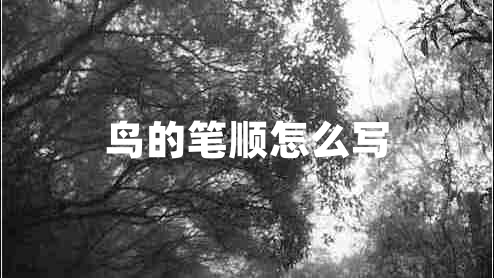 鳥的筆順怎么寫