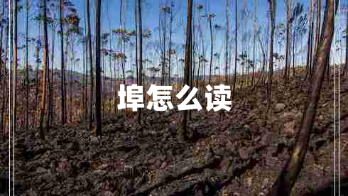 埠怎么讀 埠怎么讀