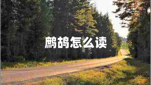 鷓鴣怎么讀