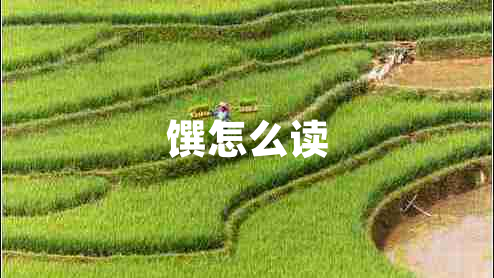 饌怎么讀 饌怎么讀