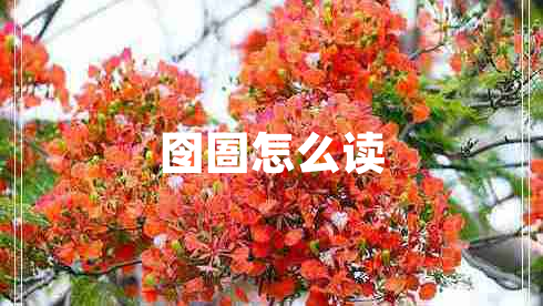 囹圄怎么讀 囹圄怎么讀