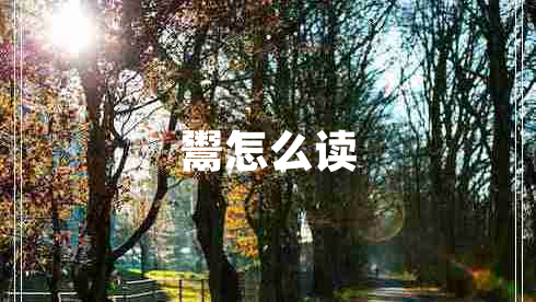 鬻怎么讀 鬻怎么讀