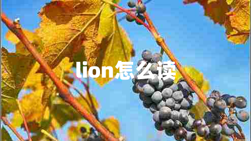 lion怎么讀