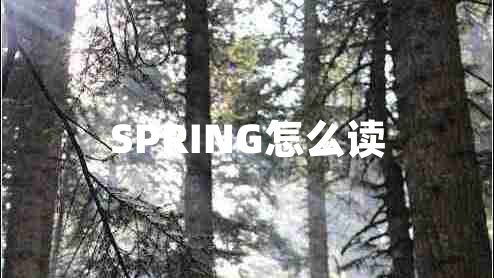 SPRING怎么讀