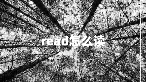 read怎么讀 read怎么讀