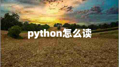 python怎么讀
