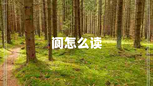 閬怎么讀 閬怎么讀