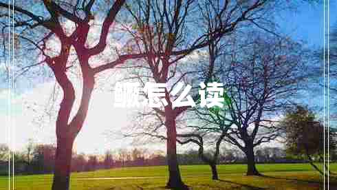 鱖怎么讀 鱖怎么讀