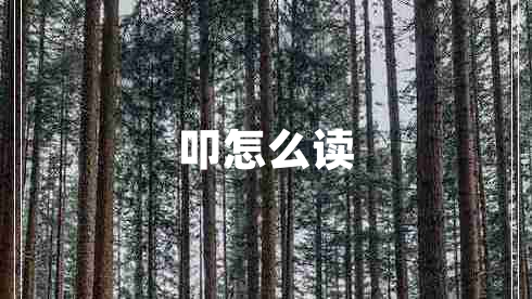 叩怎么讀 叩怎么讀