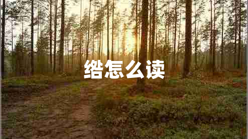 綹怎么讀