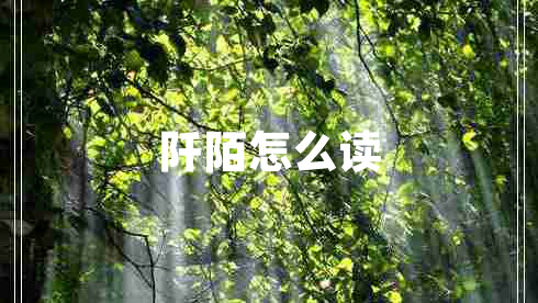 阡陌怎么讀
