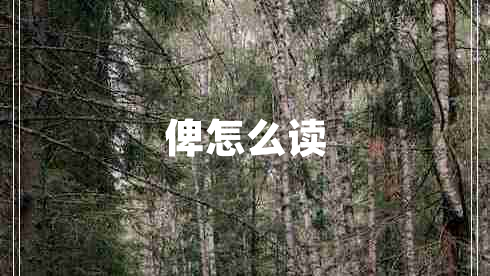 俾怎么讀