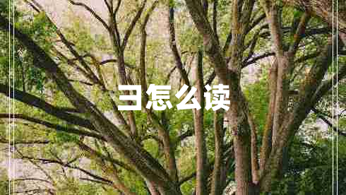 彐怎么讀 彐怎么讀