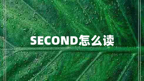 SECOND怎么讀