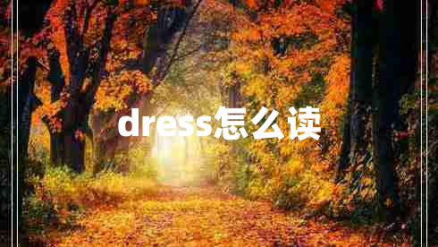 dress怎么讀 dress怎么讀