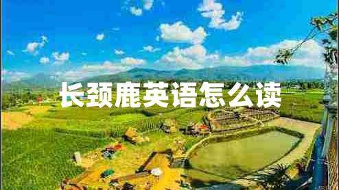 長頸鹿英語怎么讀