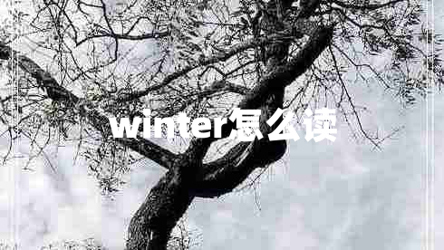 winter怎么讀